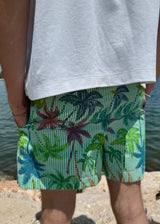 SHORT - PALMERA VERDE